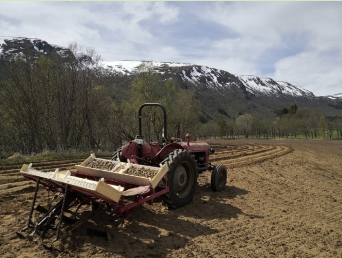 Traktor som setter poteter på jordet, med snødekte fjell i bakgrunnen